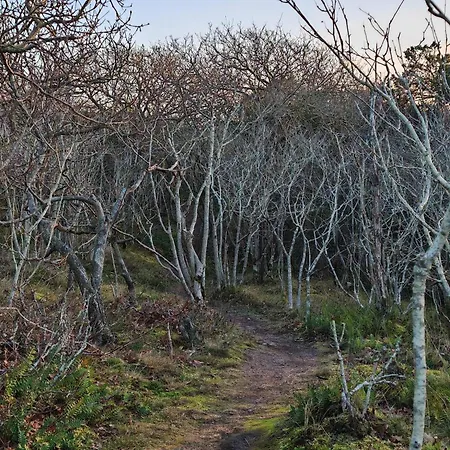 4 Person In Skjern-by Traum Σπίτι διακοπών *