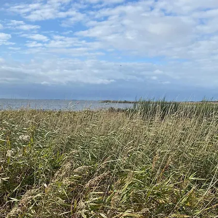 4 Person In Skjern-by Traum Σπίτι διακοπών Skjern